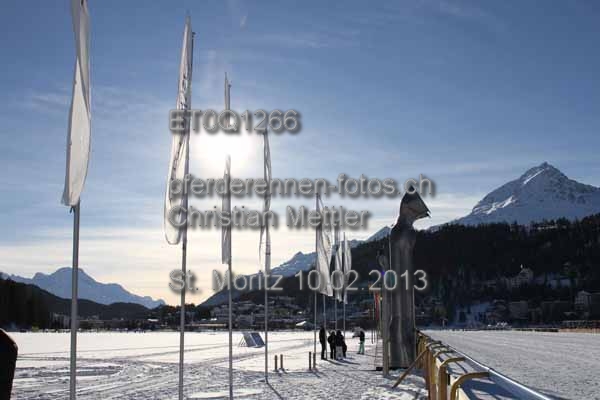 ET0Q1266 prot